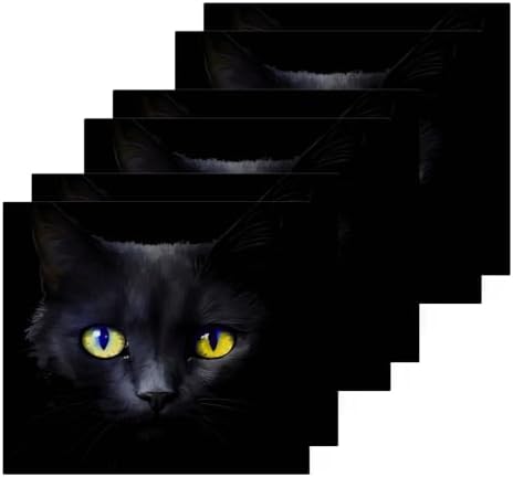 Black Cat Washcloths 2 Pack Soft Absorbent Cotton Face Towels