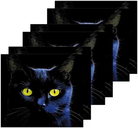 YettasinBin Black Cat Reusable Washcloth Set