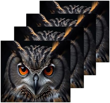 Owl Washcloth Set - 2-Pack for Washroom Use