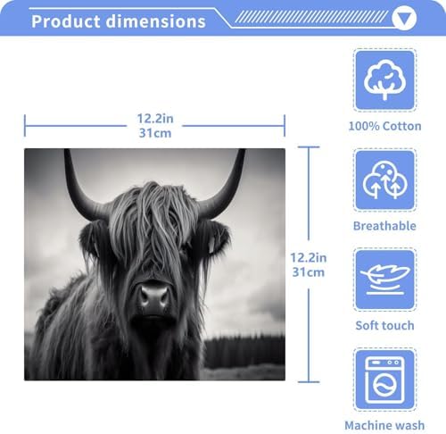 Highland Cow Washcloth 2-Pack