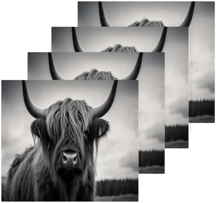 YETASBIN Highland Cow Washcloth 2 pack