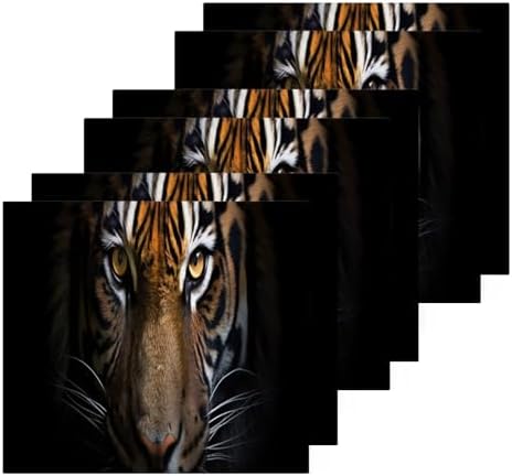 YETTASBIN Tiger Washcloths 2 Pack Soft Absorbent Towels
