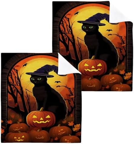 Halloween Cat Washcloth 2-Pack Soft AbsorbentReusable for Babies Kids