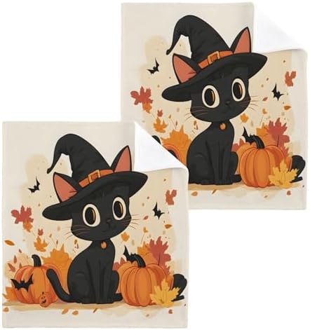 Xigua Cute Black Cat Washcloths Set of 2 12x12 Inch