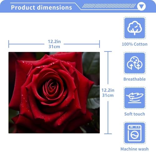 Perfect Rose Washcloth 2-Pack for Washroom Beyond