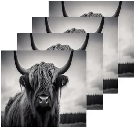 Highland Cow Washcloth 2-Pack