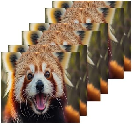 Red Panda Washcloth 2-Pack 12x12 Soft Cotton Baby Reusable