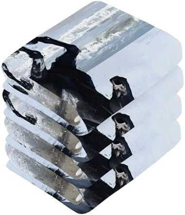 High-Quality Xigua Black Horse Washcloth Set