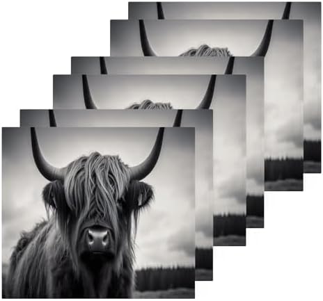 Highland Cow Washcloth 2-Pack