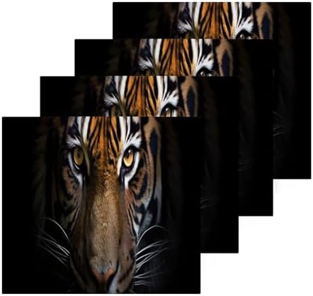 YETTASBIN Tiger Washcloths 2 Pack Soft Absorbent Towels