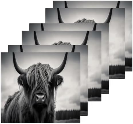 YETASBIN Highland Cow Washcloth 2 pack