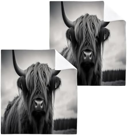 YETASBIN Highland Cow Washcloth 2 pack