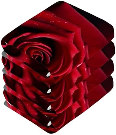 Perfect Rose Washcloth 2-Pack for Washroom Beyond