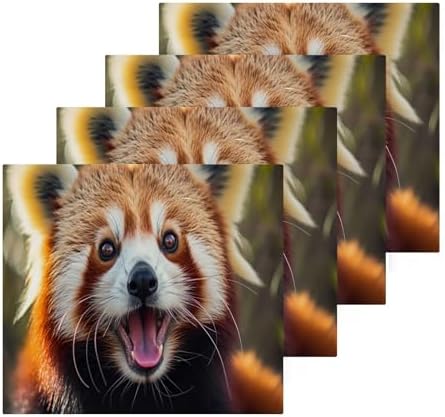 Red Panda Washcloth 2-Pack 12x12 Soft Cotton Baby Reusable