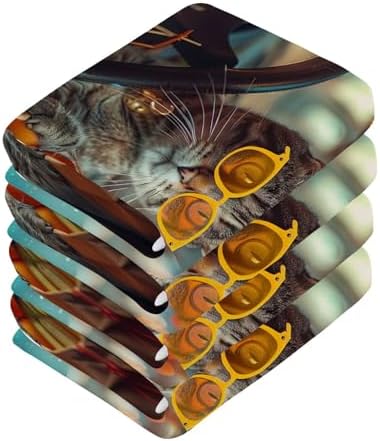 Driver Cat Washcloth 2-Pack