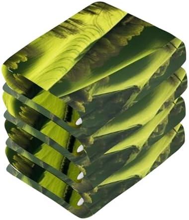 Nature Landscape Washcloths 2 Pack - Soft AbsorbentReusable for Baby Face Towels