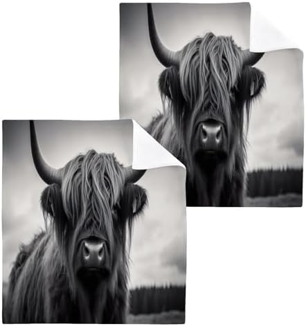 Highland Cow Washcloth 2-Pack