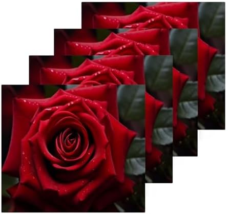 Perfect Rose Washcloth 2-Pack for Washroom Beyond