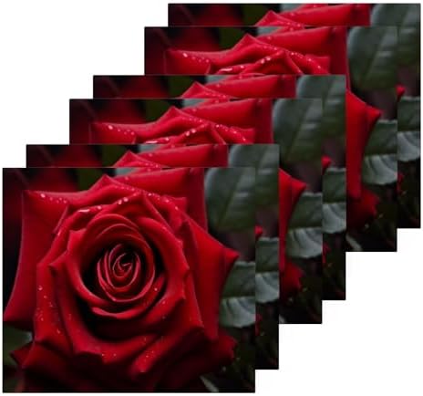 Perfect Rose Washcloth 2-Pack for Washroom Beyond