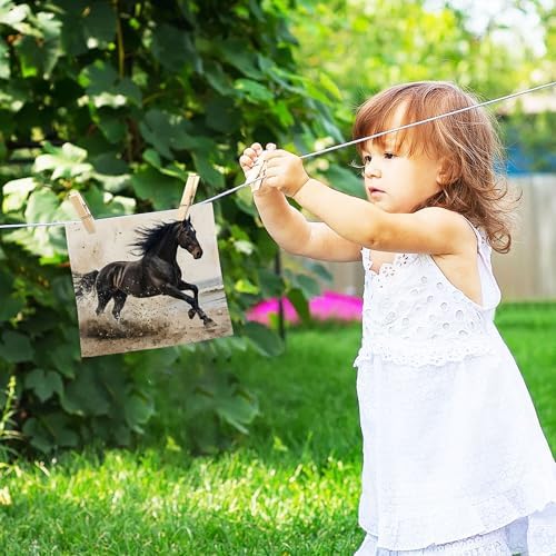 xigua Black Horse Washcloths Set of 2 - 12x12 Inch