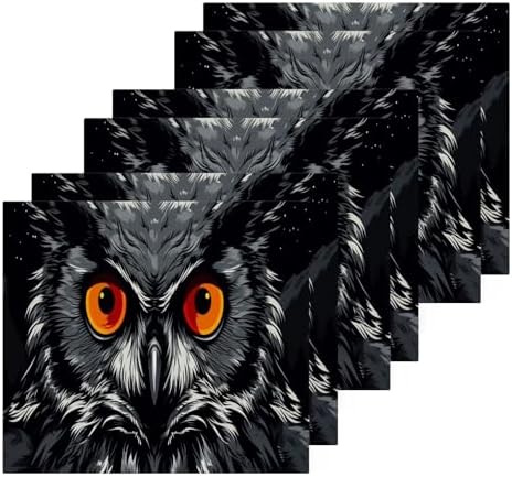 Owl Washcloth 2-Pack Soft Absorbent Reusable Washable