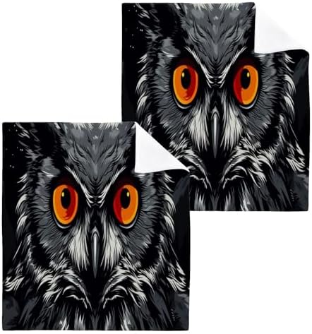 Owl Washcloth 2-Pack Soft Absorbent Reusable Washable