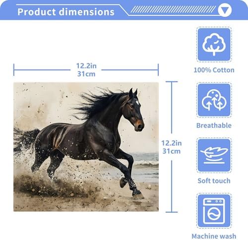 xigua Black Horse Washcloths Set of 2 - 12x12 Inch