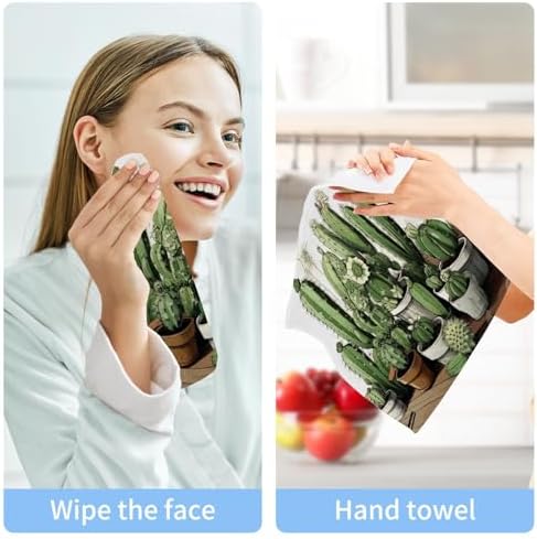 Cactus Washcloth 2-Pack