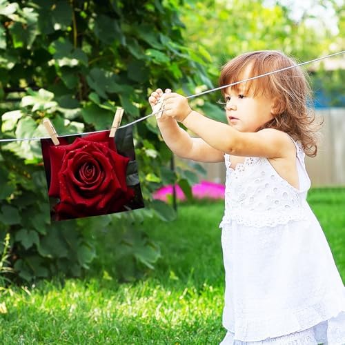 Perfect Rose Washcloth 2-Pack for Washroom Beyond