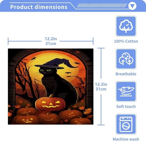 Halloween Cat Washcloth 2-Pack Soft AbsorbentReusable for Babies Kids
