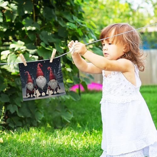 Cute Gnome Reusable Washcloth Set 2-Pack