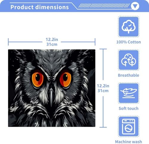 Owl Washcloth 2-Pack Soft Absorbent Reusable Washable