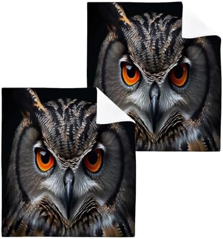 Owl Washcloth Set - 2-Pack for Washroom Use