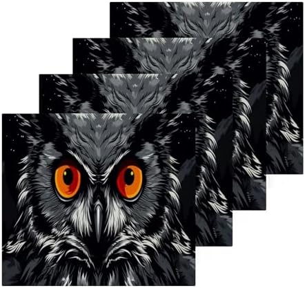 Owl Washcloth 2-Pack Soft Absorbent Reusable Washable