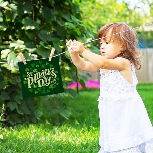St Patricks Day Reusable Washcloths 2 Pack