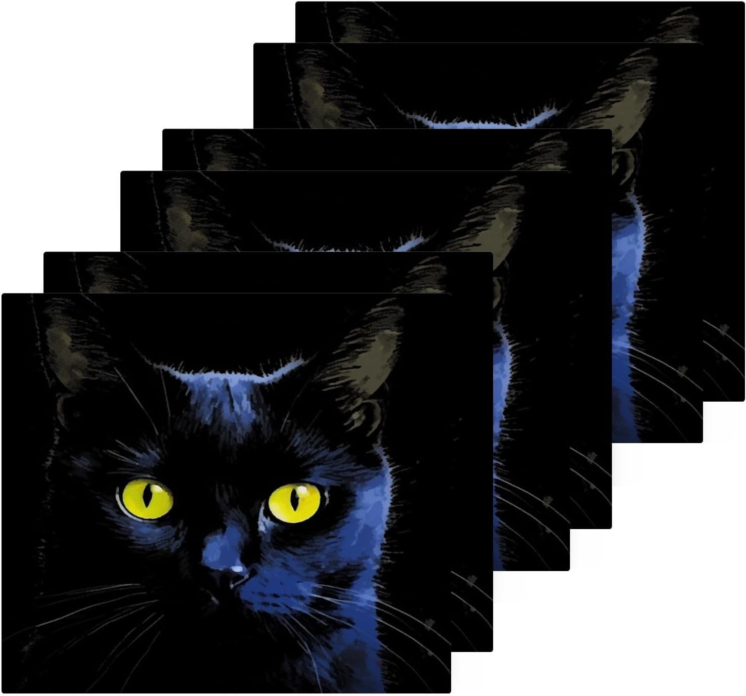 YettasinBin Black Cat Reusable Washcloth Set