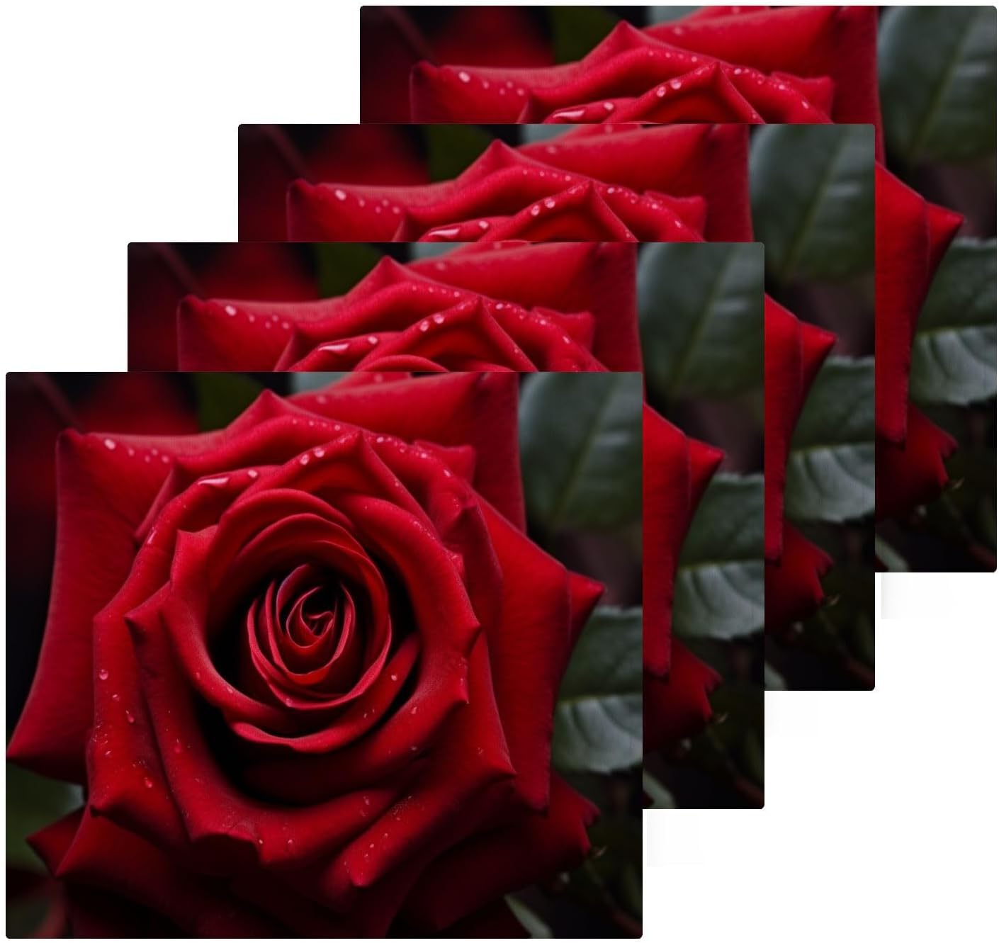 Perfect Rose Washcloth 2-Pack for Washroom Beyond