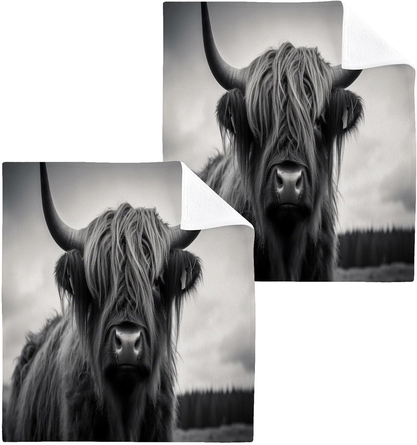YETASBIN Highland Cow Washcloth 2 pack