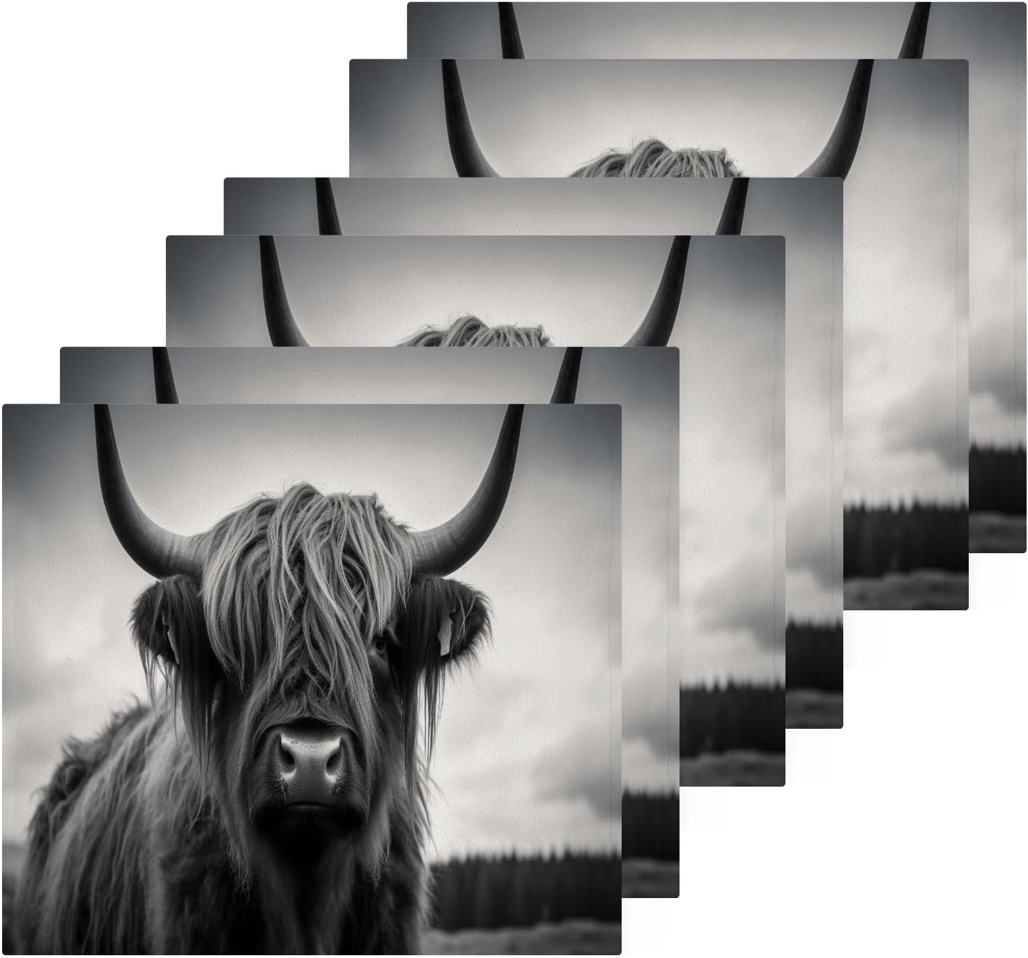 YETASBIN Highland Cow Washcloth 2 pack