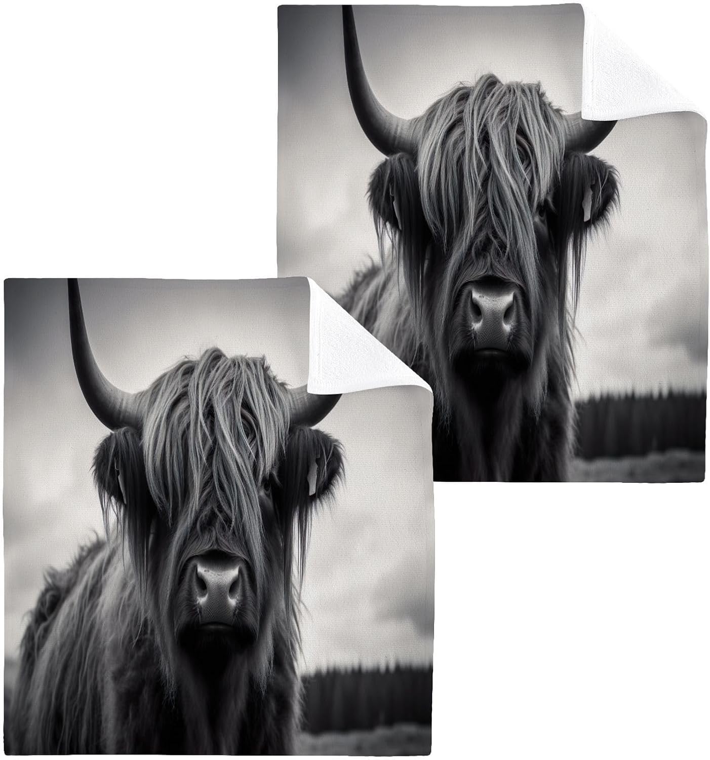 Highland Cow Washcloth 2-Pack