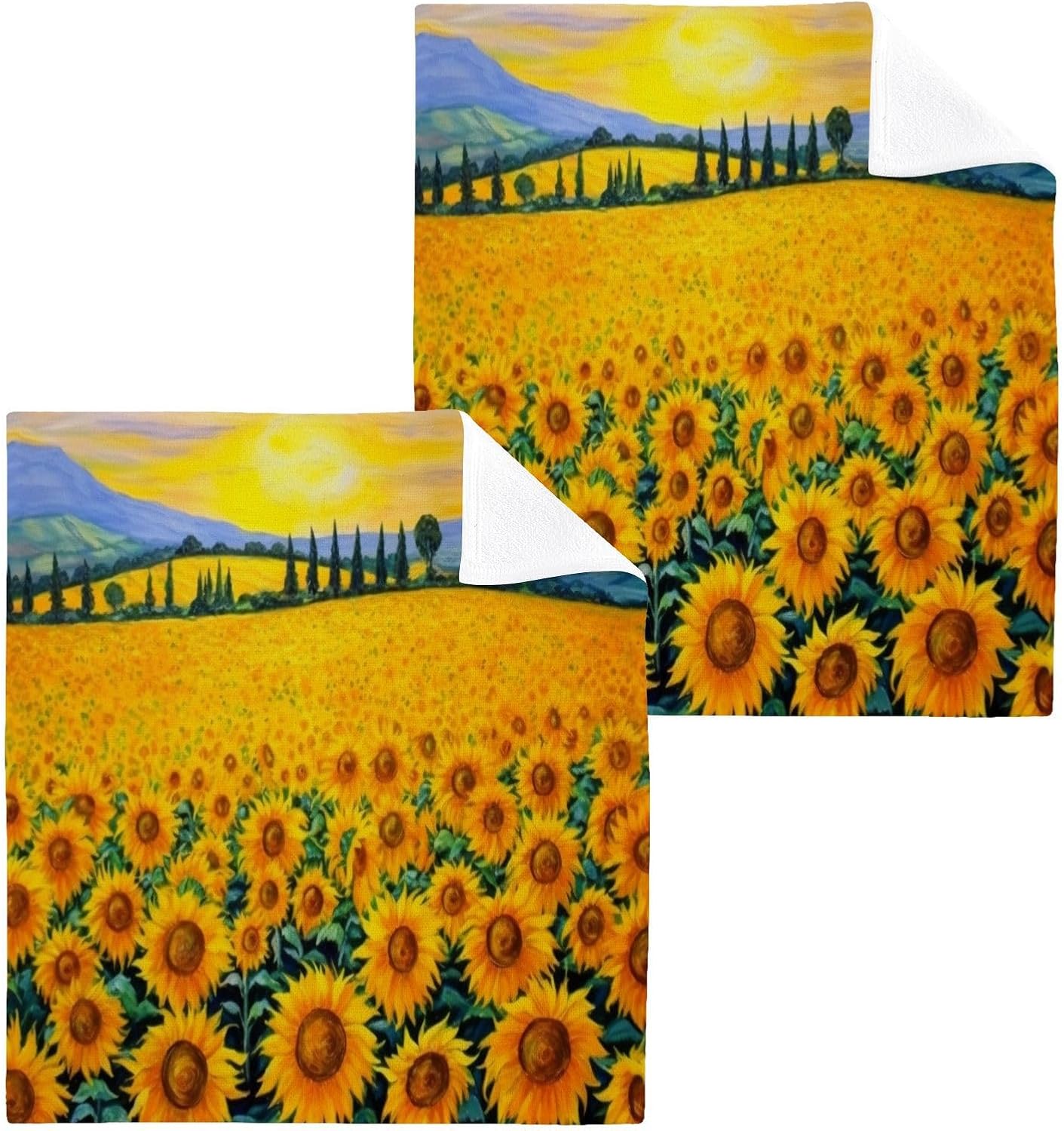 YETNASUNFLOWER Washcloth Set 2-Pack Soft Reusable Face Towels for Bath Beyond